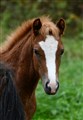 DSC_3614-1.JPG