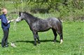 DSC_4113.JPG