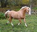 DSC_4148-1.JPG