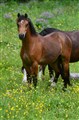 DSC_5736.JPG