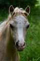 DSC_6164.JPG